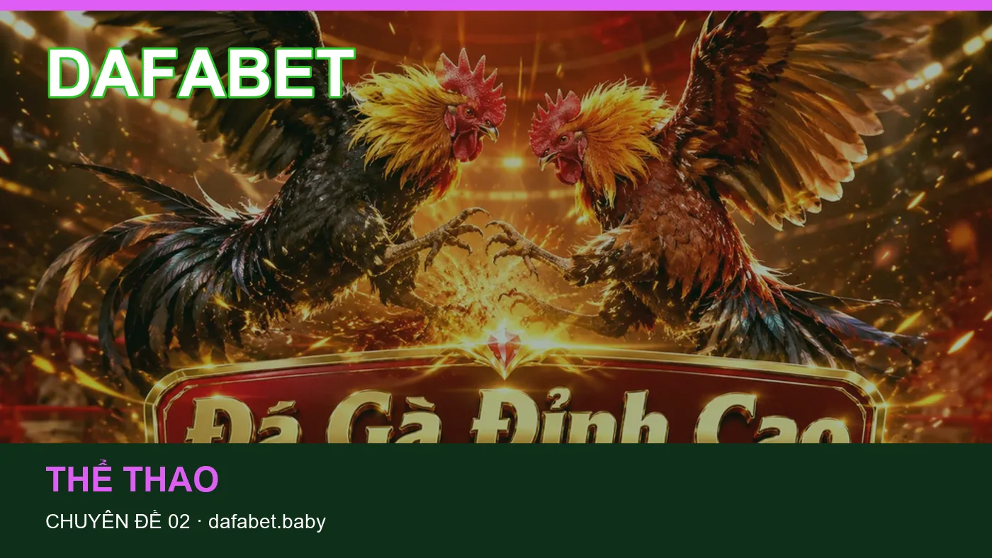 Bảo vệ dữ liệu cá nhân khi tìm hiểu Casino tại DAFABET