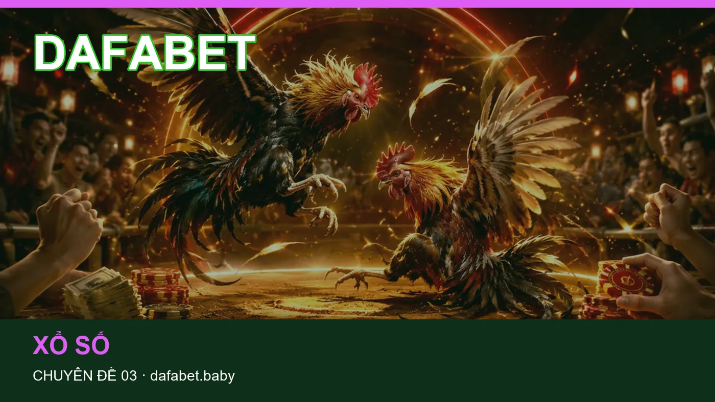 Trải nghiệm Hướng dẫn trên điện thoại cùng cẩm nang DAFABET